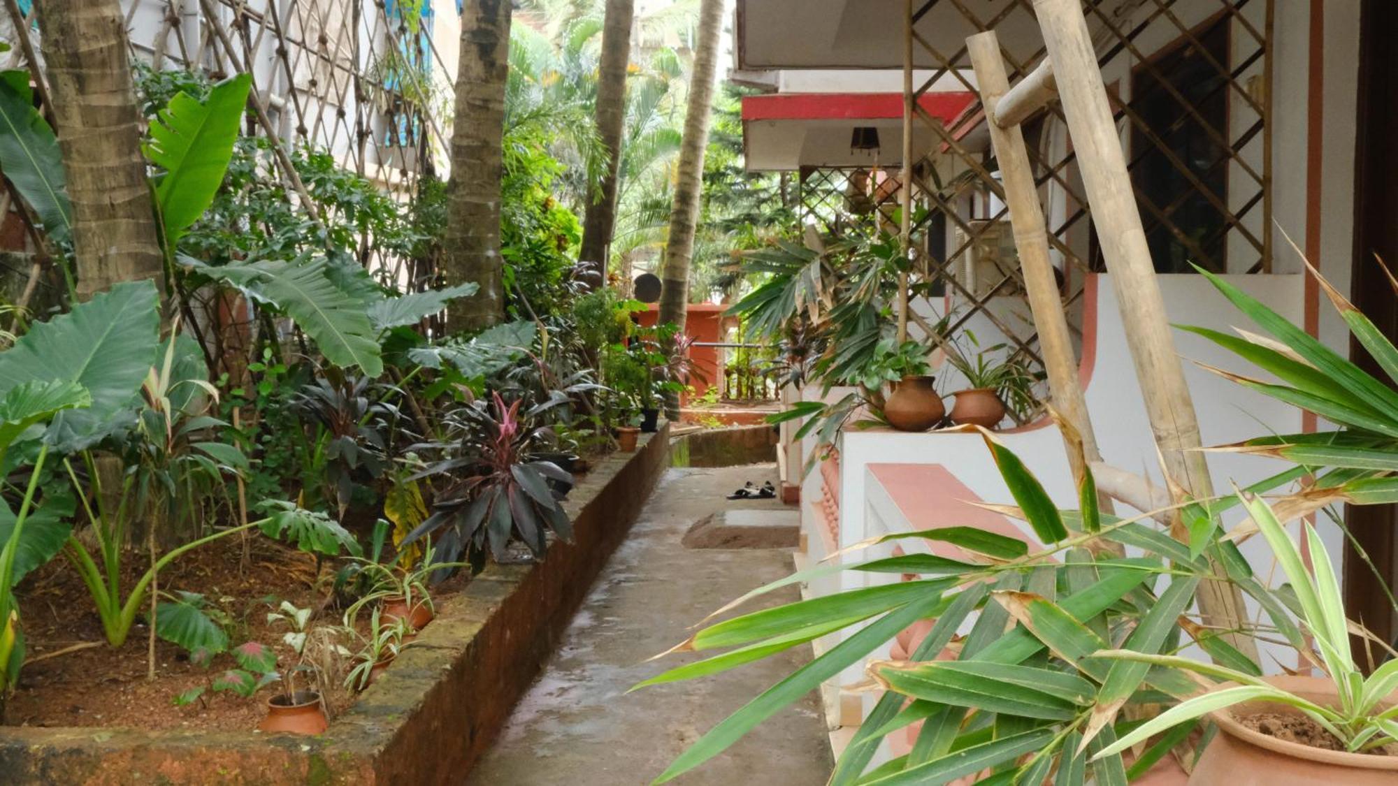 Coco Moon Hotel Morjim Exterior photo